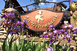 Kucharz - Kucharz wydawkowy